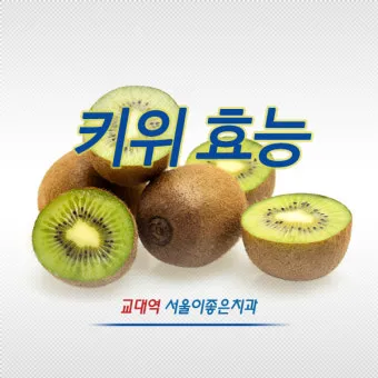 키위 효능과 부작용 비타민 풍부한 과일 정보_13