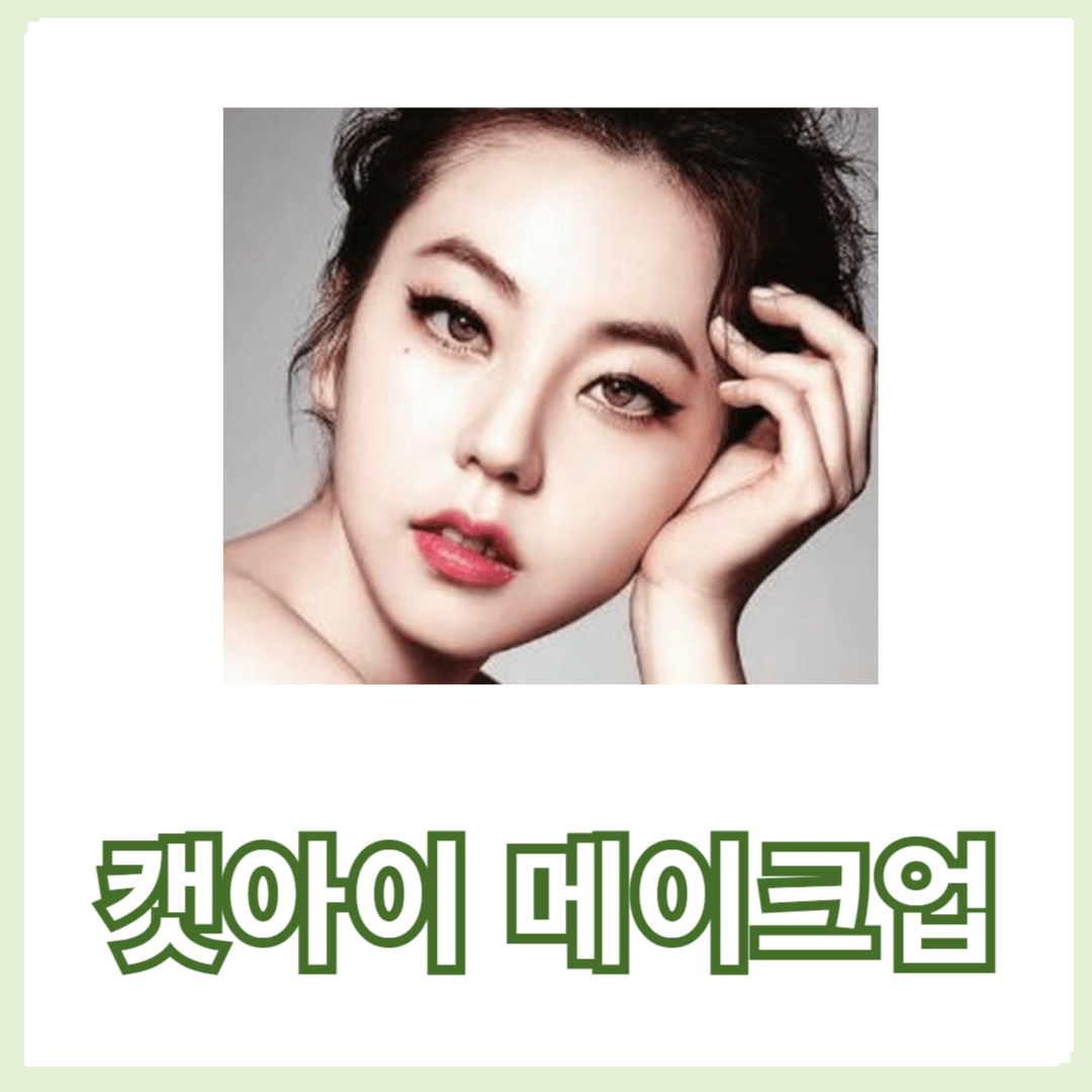 매트 립스틱과 함께하는 캣아이 메이크업