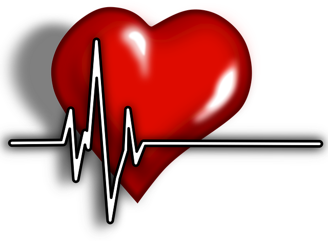 심장의 경고&amp;#44;부정맥 원인과 생활 속 예방법