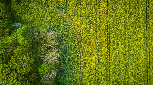 공익직불금 신청과 지급 일정