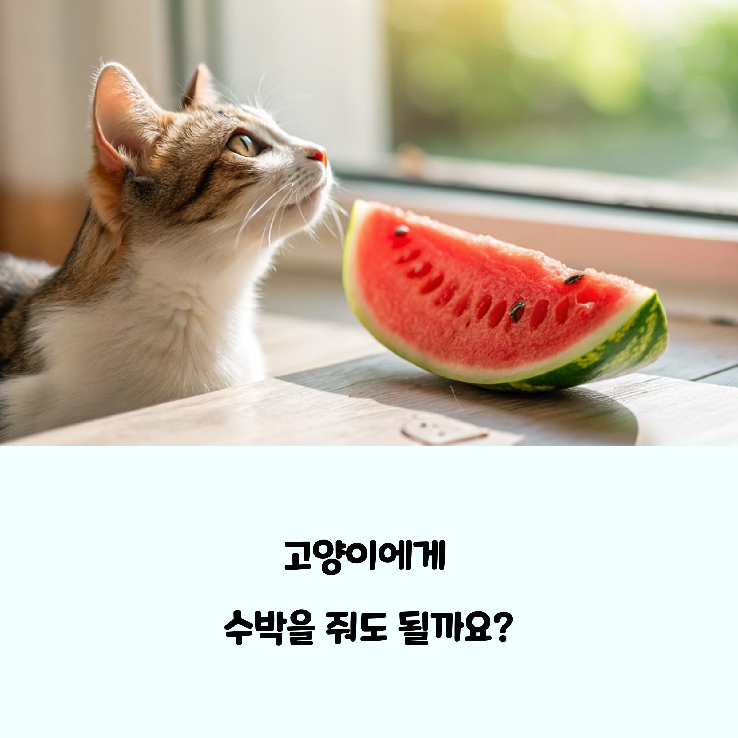 수분 보충 효과와 주의사항