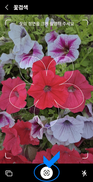 꽃 촬영 카메라