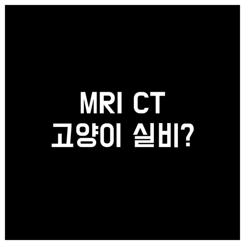 MRI CT 검사 보장되는 고양이 실..