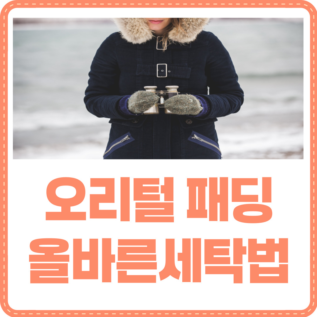 오리털 패딩 세탁