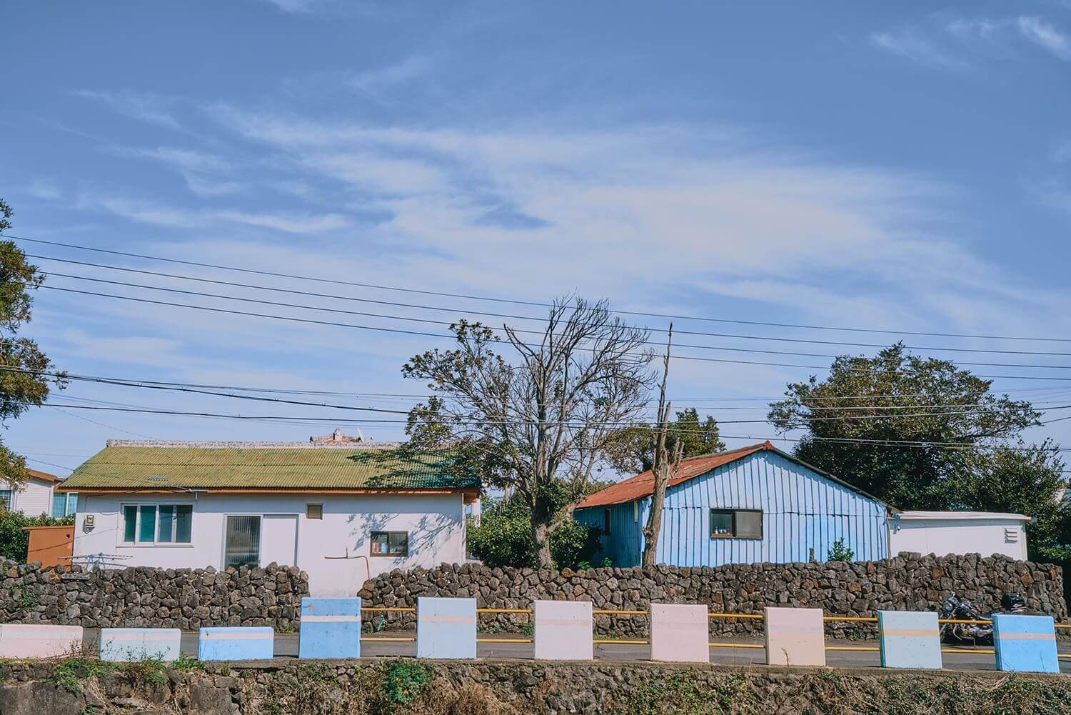 제주 올레길 5코스 추천: 남원포구에서 쇠소깍까지 힐링 여행