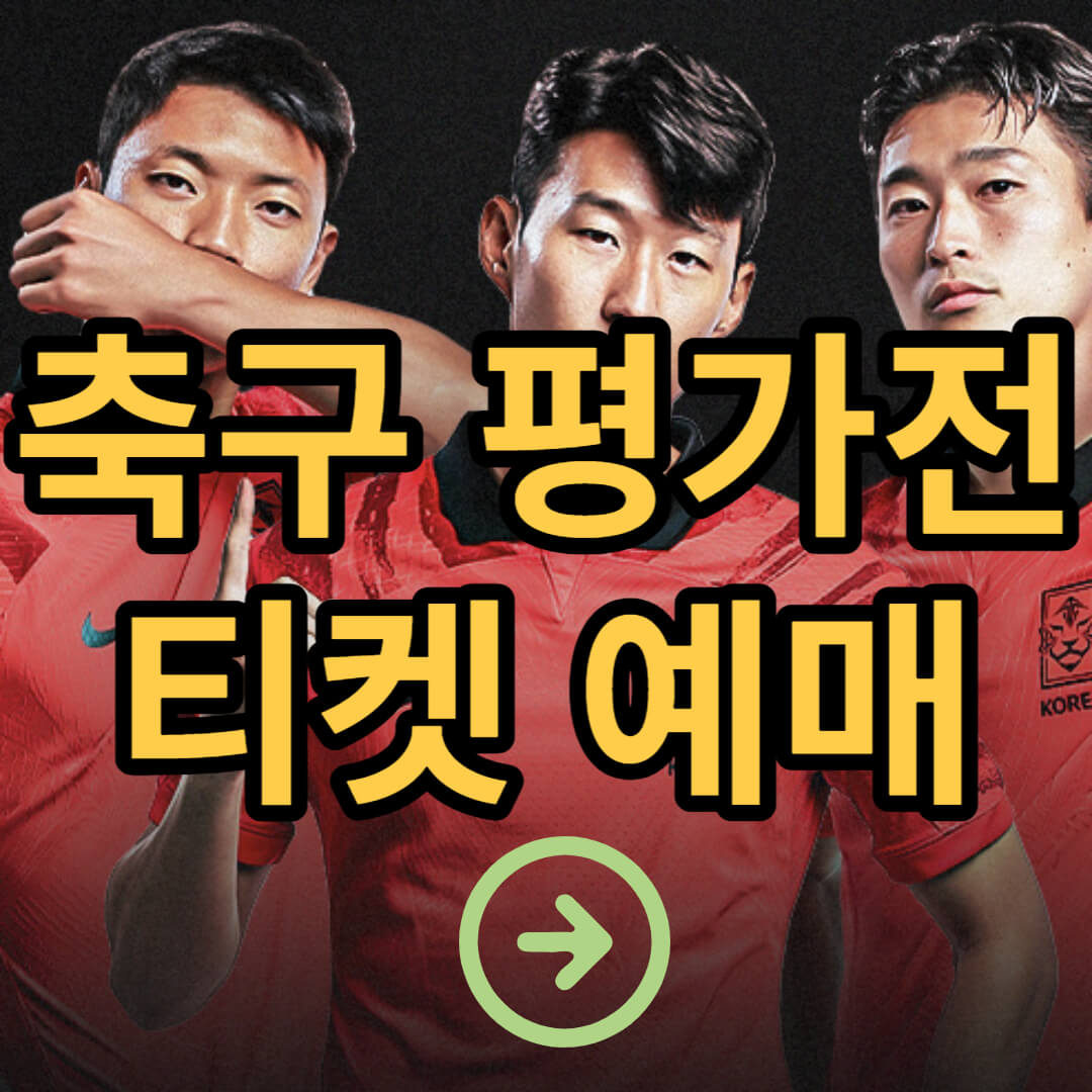 축구 국가대표 평가전 티켓 예매