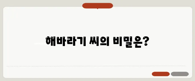 해바라기 씨 영양소 알아보기 건강 간식으로 뜨는 이유