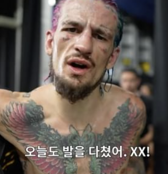 ufc 영상