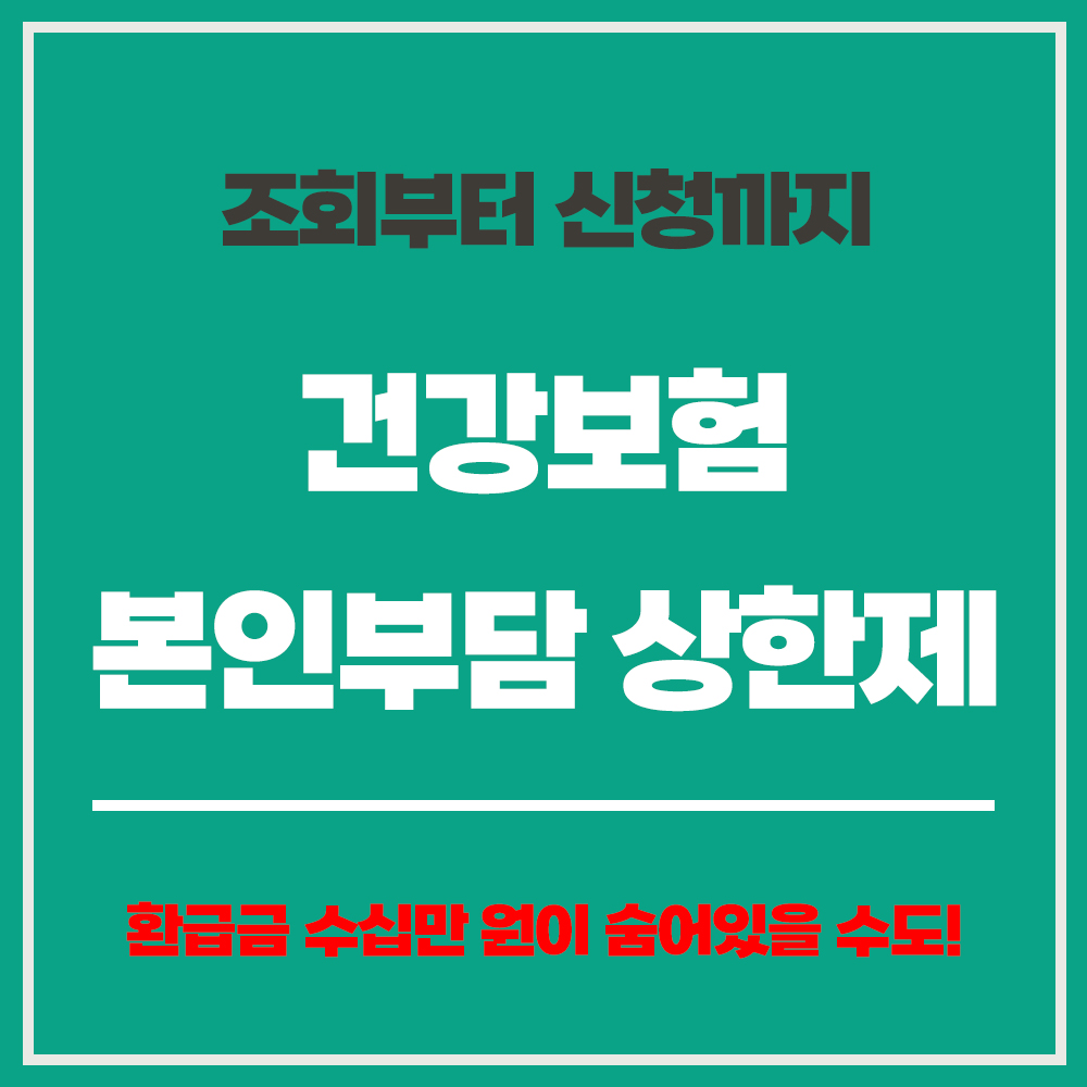 건강보험 본인부담 상한제 본인부담상한제 지급일 본인부담상한제 조회