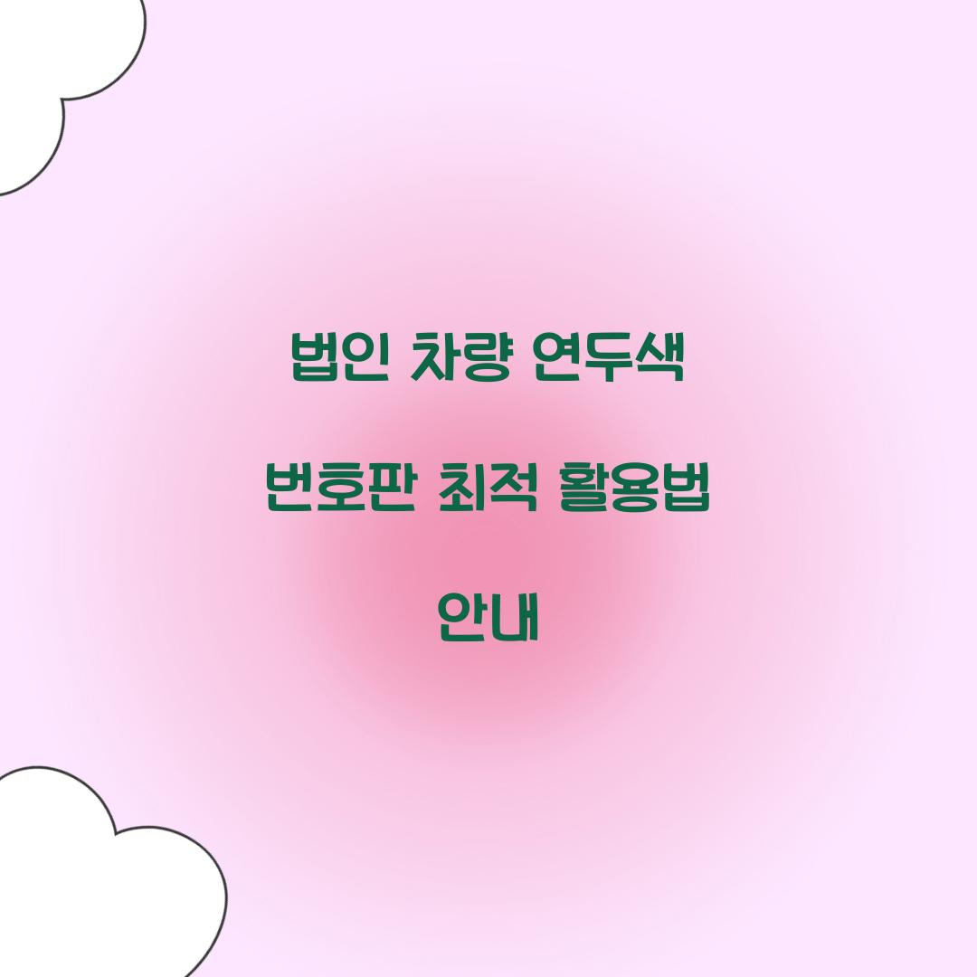 법인 차량 연두색 번호판