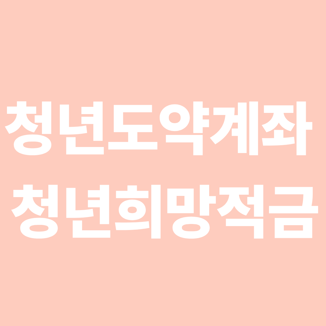 청년도약계좌 청년희망적금