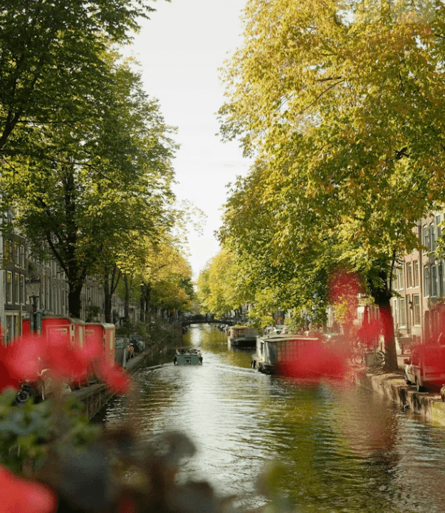 2026 황금연휴 달력과 해외여행 카드 혜택