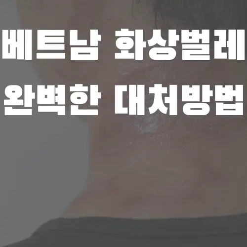 베트남 화상벌레 완벽한 대처방법