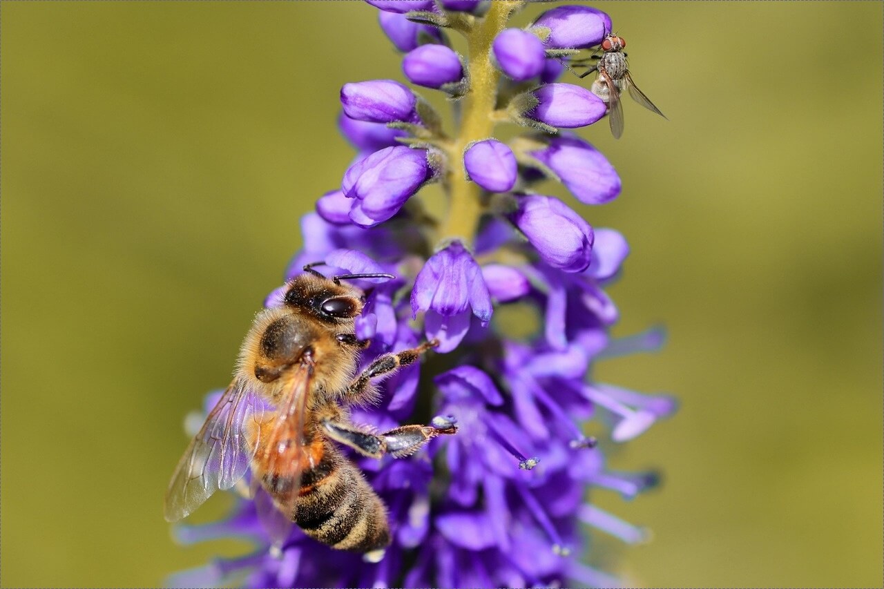 메가커피 창업비용