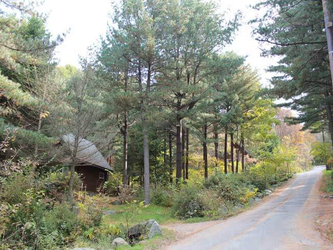 숲나들e 예약 방법부터 추천 캠핑장까지! 2025년 완전정리