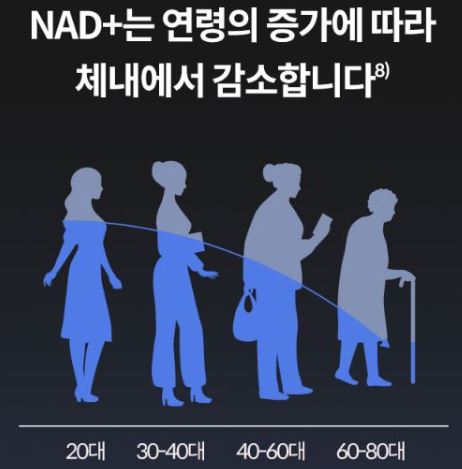 NMN 효능