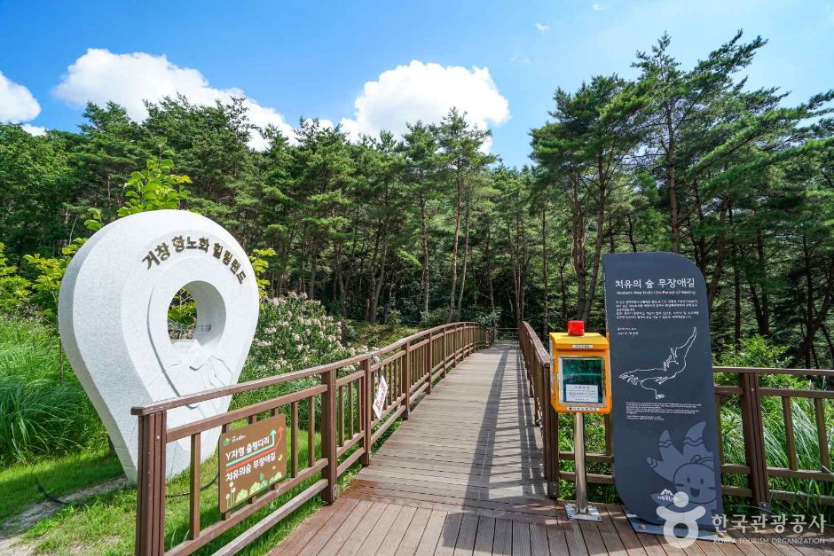 거창 항노화힐링랜드