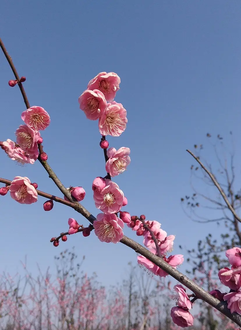손해평가사 시험일정 시험과목 합격률