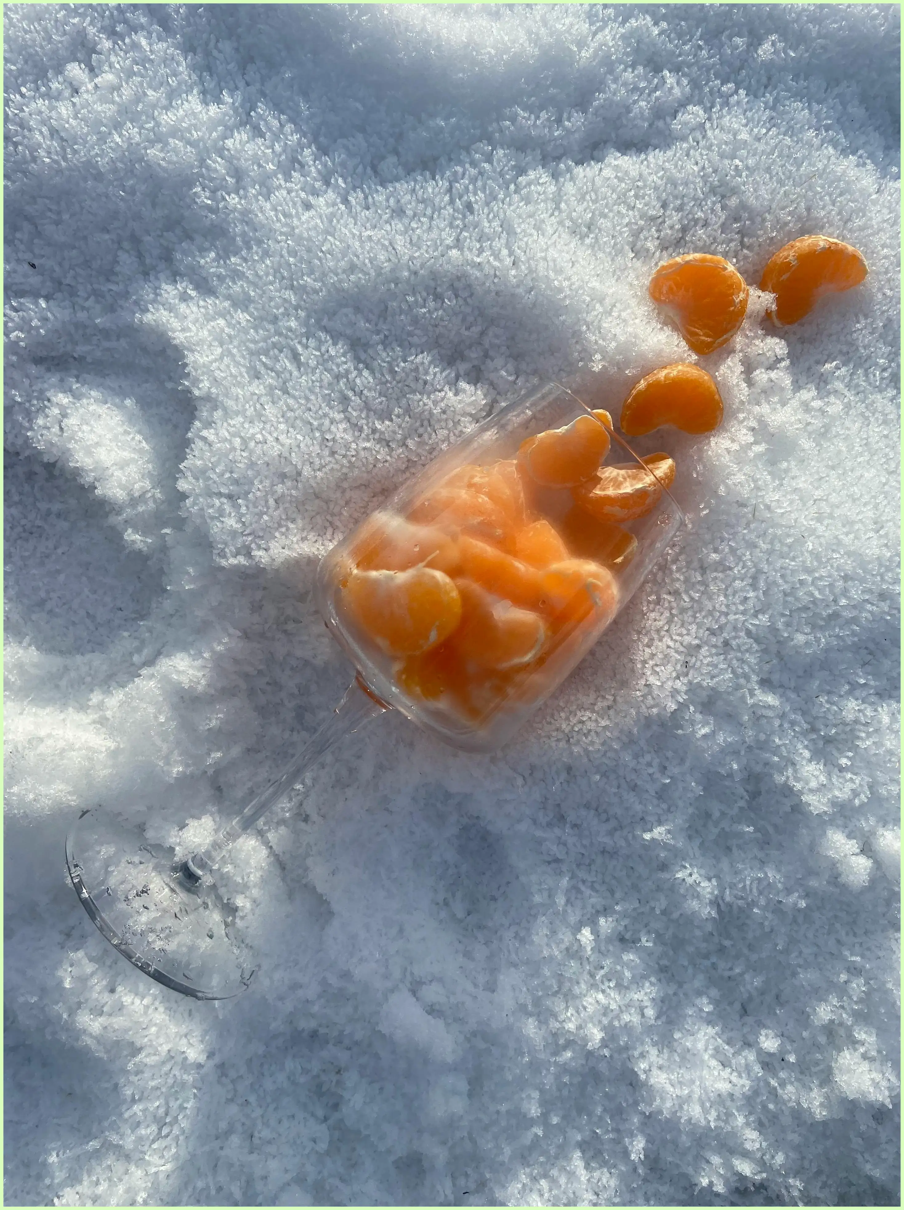 강아지 귤 먹어도 되나요? 소량 급여와 안전한 급여법