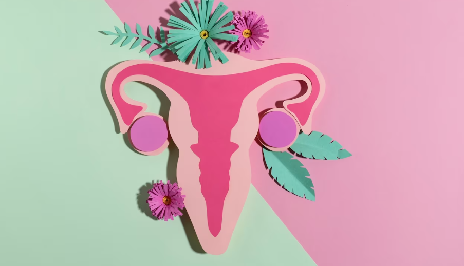 칸디다 질염의 치료방법 장연치료법