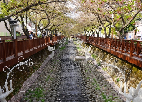 진해 군항제