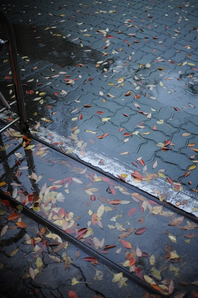 허리가 쑤시면 비가 오곤 합니다.