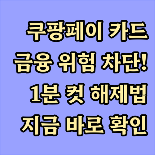 불필요한 금융 리스크 차단 쿠팡페이 ..