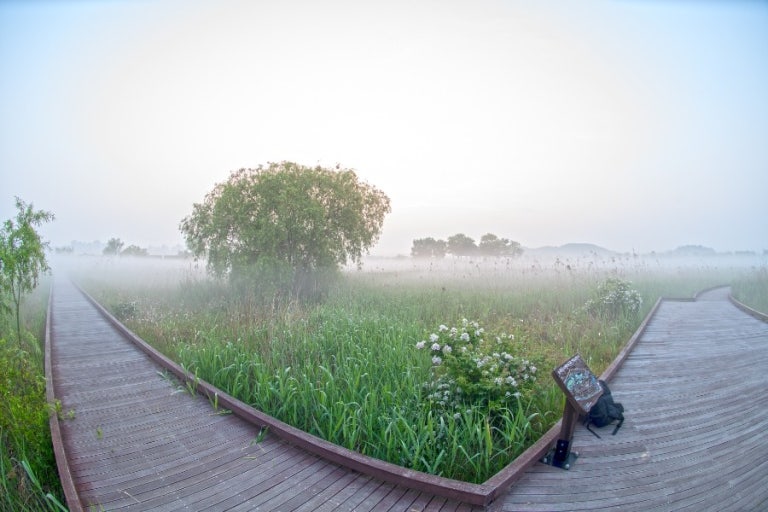 인천 소래습지생태공원 봄 나들이