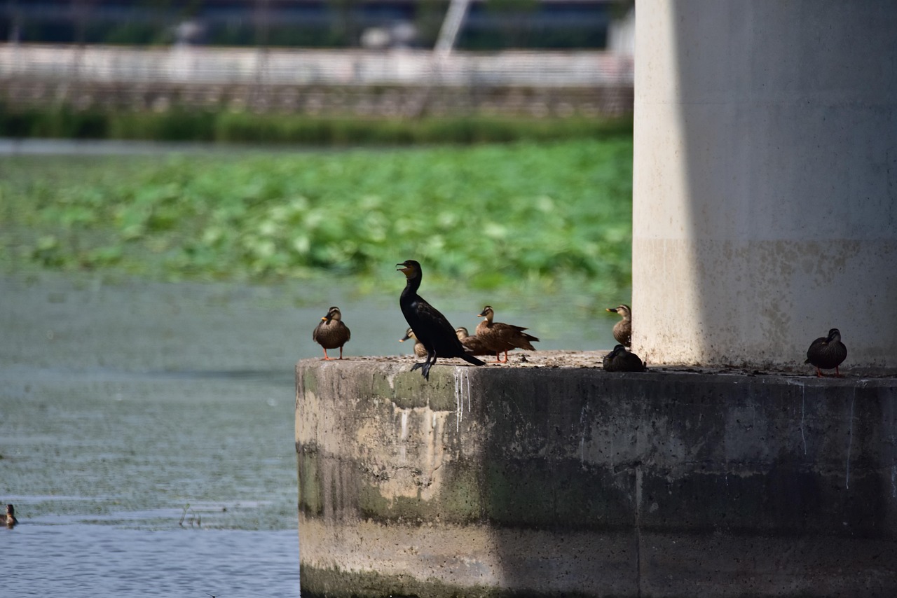  서울 근교 1시간! 경기도 당일치기 감성 여행지 BEST 4 관련사진 