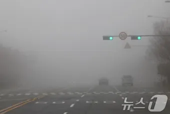 안개 주의 가시거리 운전 속도 헤드라이트 사용법_13