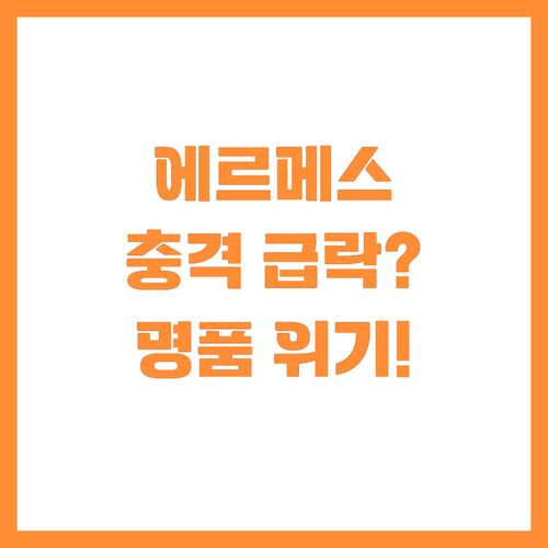 에르메스 1분기 성장 둔화와 명품 시..