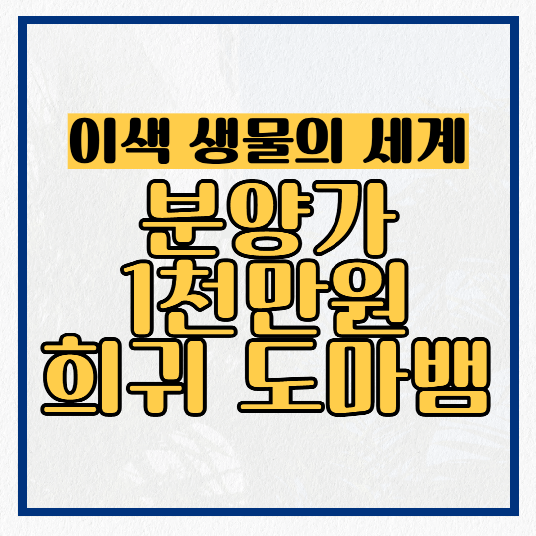 분양가 1천만원 희긔도마뱀과 이색 생물의 세계