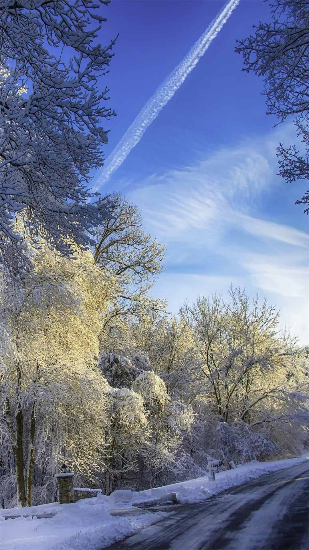 snow wallpaper