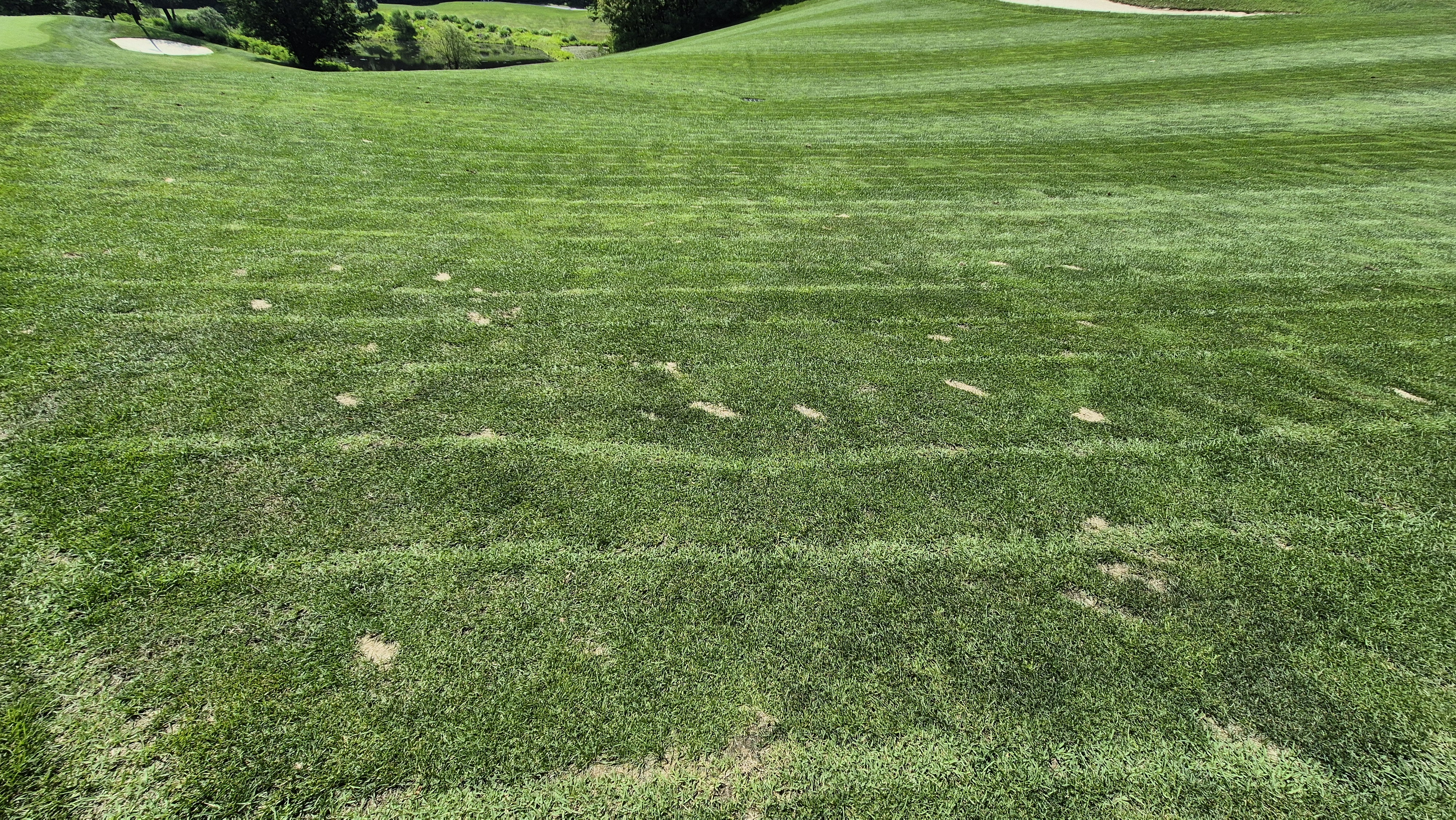 샤인데일cc 라운드 후기