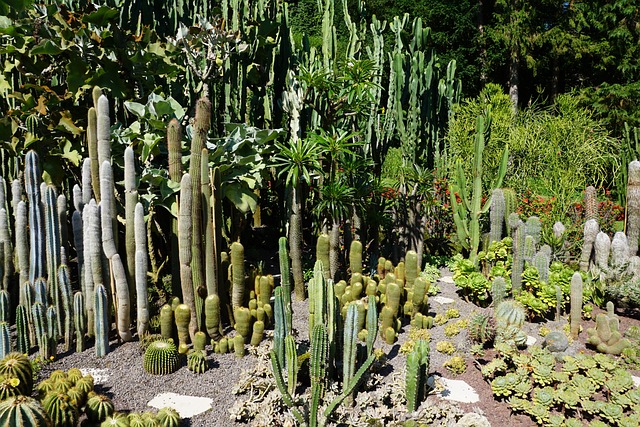 세계꽃식물원 입장료 및 관람 정보