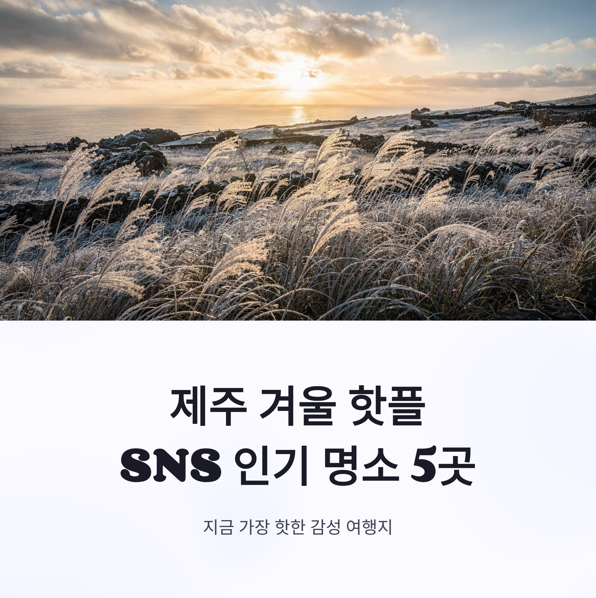 제주 겨울 핫플 SNS에서 인기 많은 장소추천