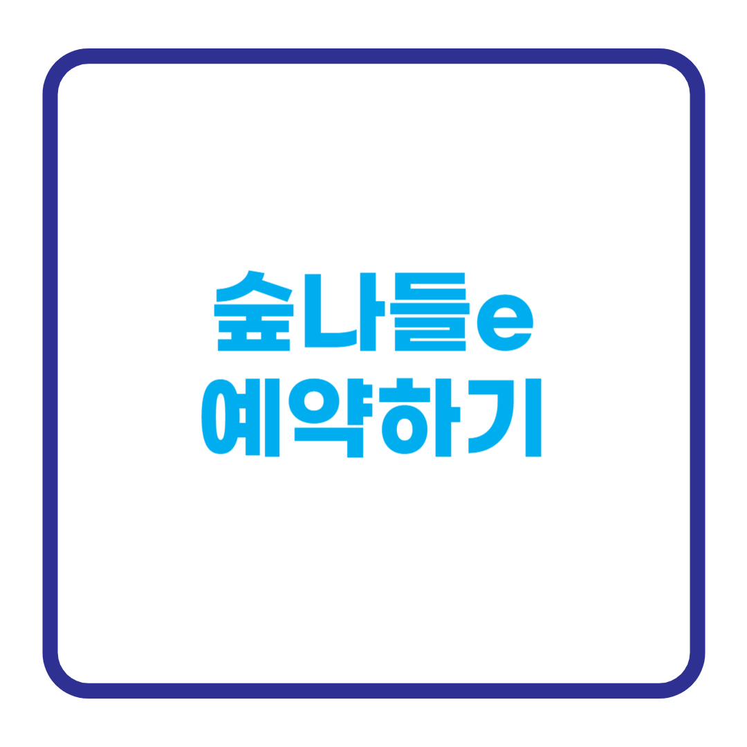 숲나들이
