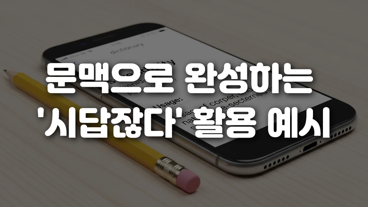 문맥으로 완성하는 시답잖다 활용 예시