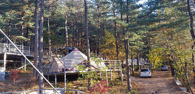 포천 나무새캠핑장 소개