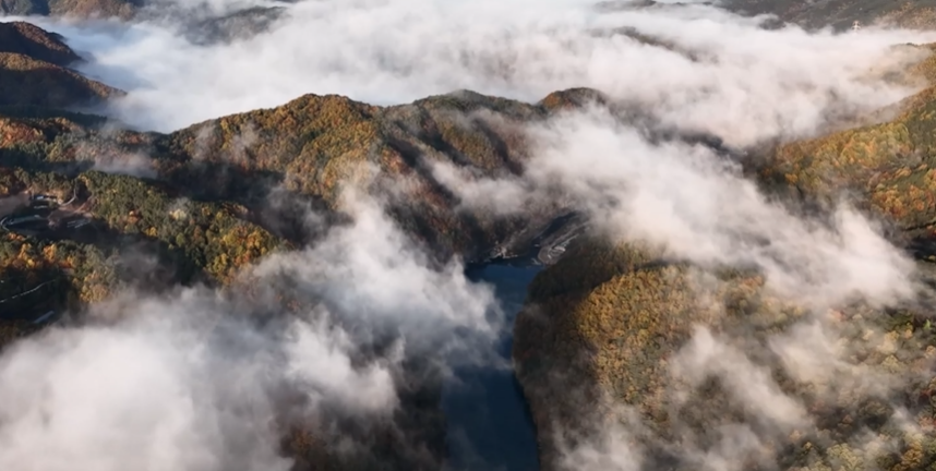 2023년 단풍시기