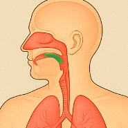 가래 없애는 방법