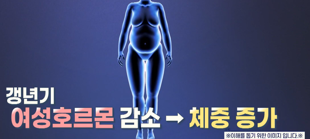 msm의 효능