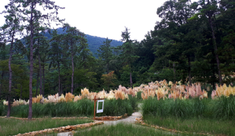 해남 포레스트 수목원