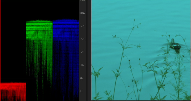 RED 채널 낮춘 화면