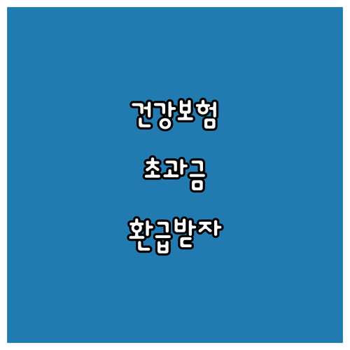 2025년 건강보험 초과금 환급: 대..
