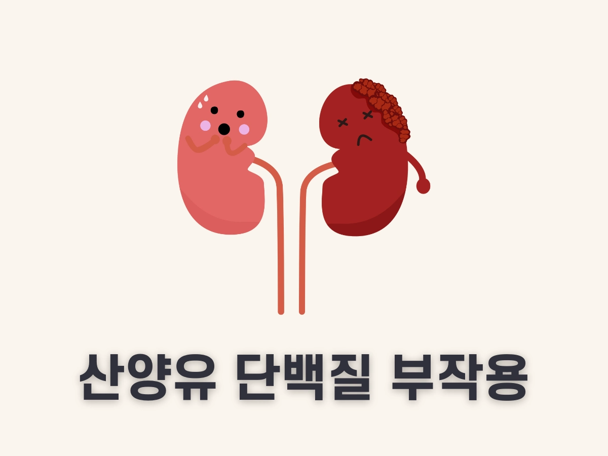 산양유 단백질 부작용
