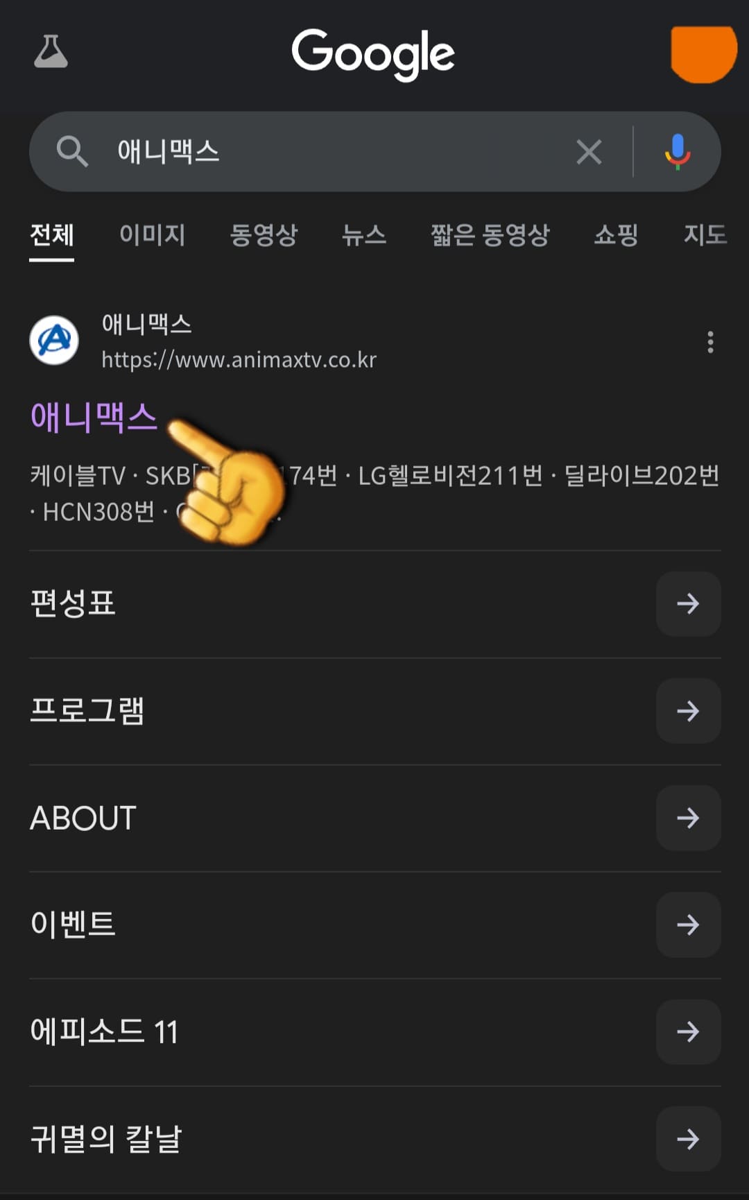 애니맥스-채널번호-확인하는-방법-안내-상단에-나오는-애니맥스-공식-홈페이지를-클릭하세요.