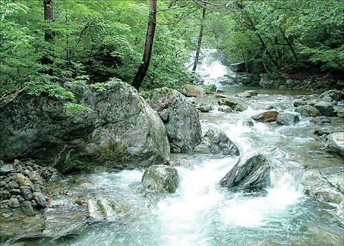 봄 여행 국내 숨은 여행지