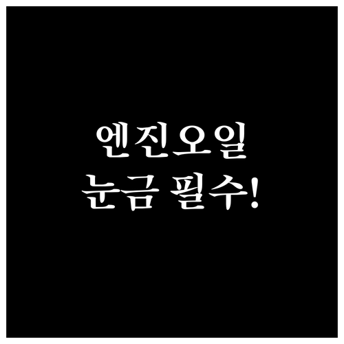 엔진오일 잔량 측정시 주의사항과 올바..
