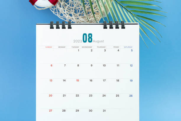 2025년 공휴일 및 대체공휴일